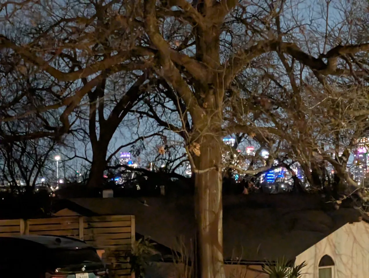 The Downtown view taking out the trash